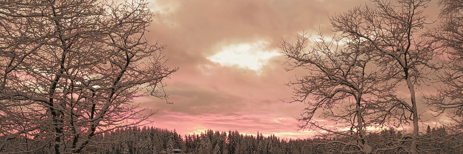 ssiren's profile banner image