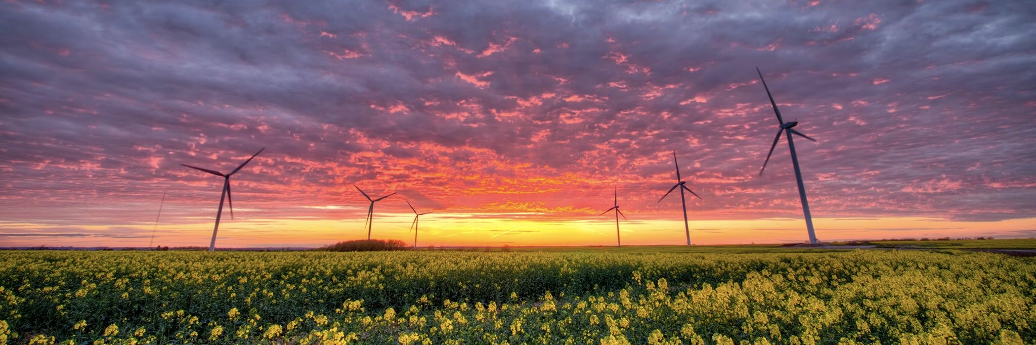 Jessica Lubetsky banner