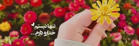 Fatemeh Doaie's banner