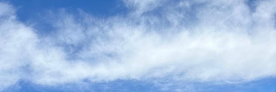 Alberto banner
