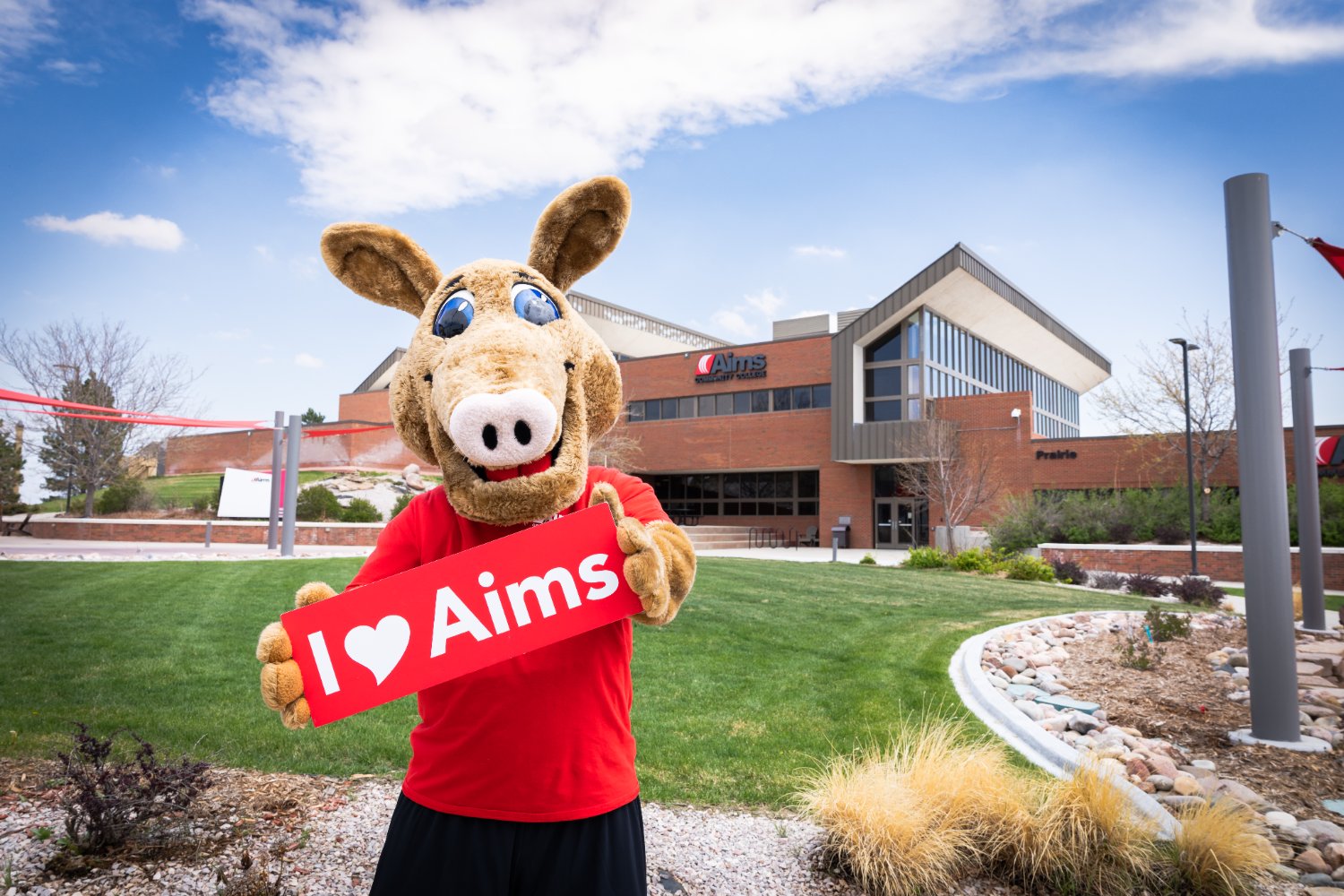 Aims Community College banner