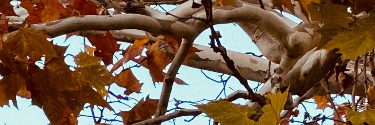 mrsmalhow's profile banner image