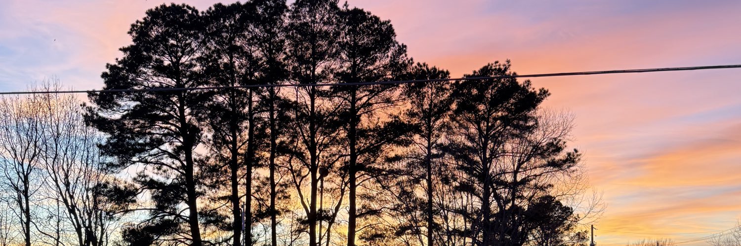 YoungKayla96's profile banner image