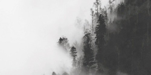 1DsHarryStyles's profile banner image