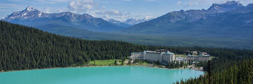Alberta Memes's banner