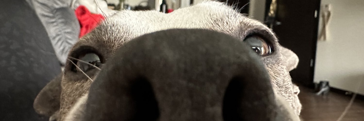 ashleyschnase's profile banner image