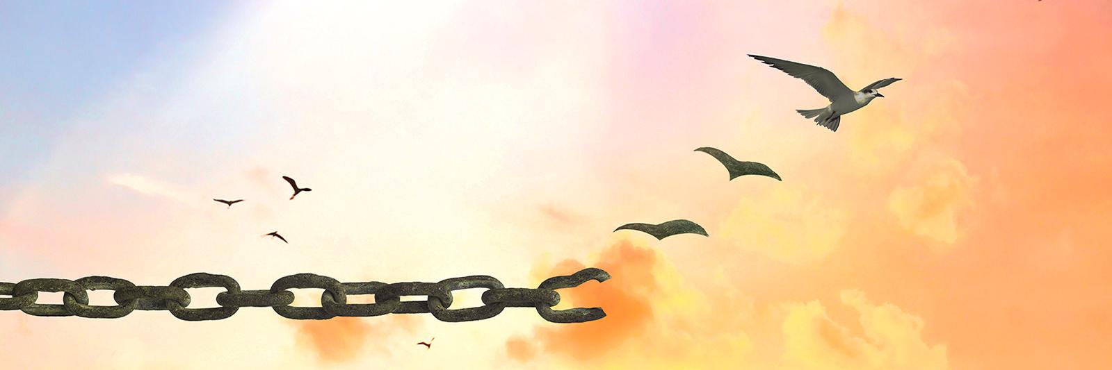 Vicks banner