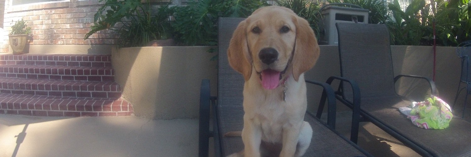 parkerliotta's profile banner image