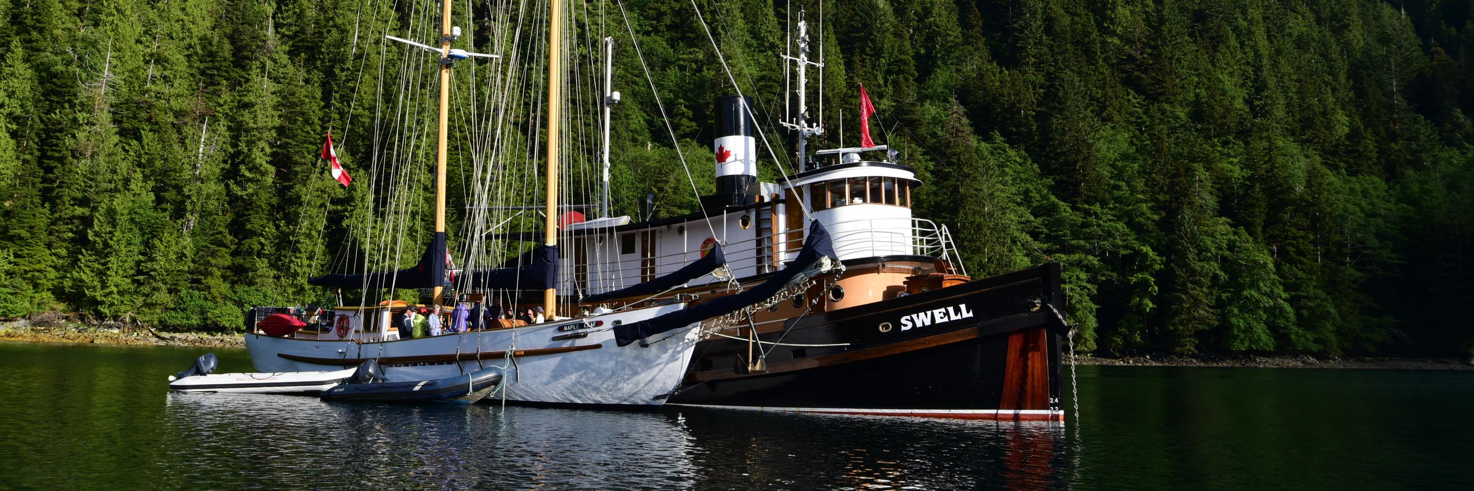 Maple Leaf Adventures banner