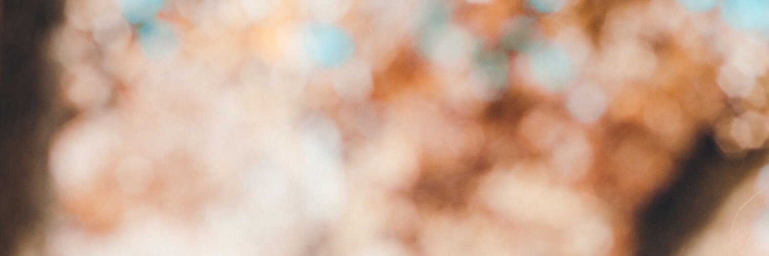 Hanna_mitchell_'s profile banner image