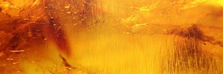 Reich habla con la verdad 3.0 banner