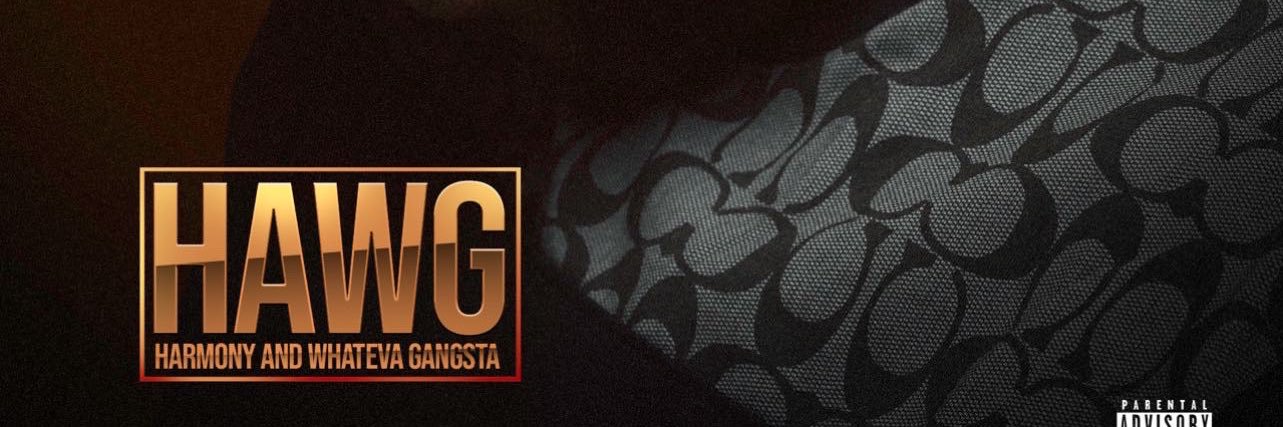 DaHawg22's profile banner image