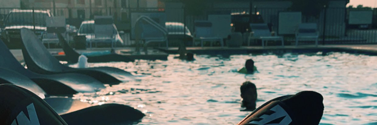 Mitch banner