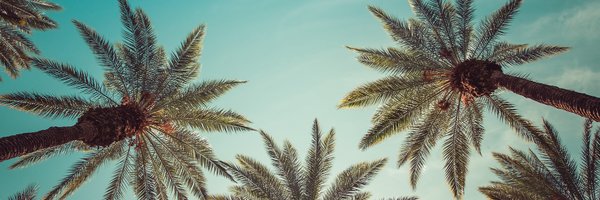 davelogan1 Profile Banner