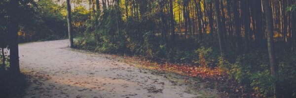 capiercefield Profile Banner