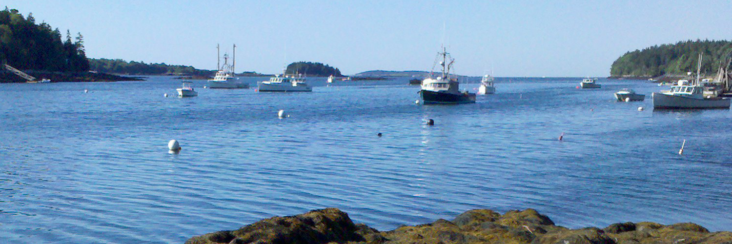 Will Thalheimer banner