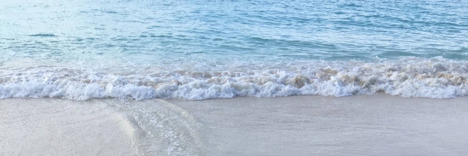 valerialcalde's profile banner image