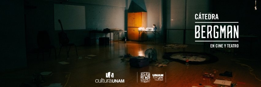 Cátedra Bergman banner