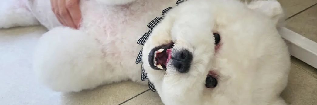 muffnae's profile banner image