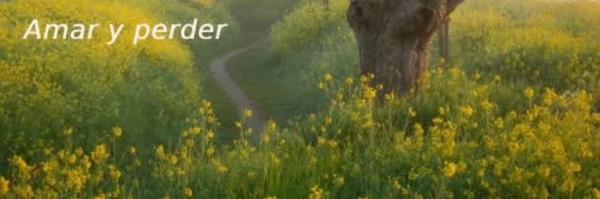 daanicabrerraa's profile banner image