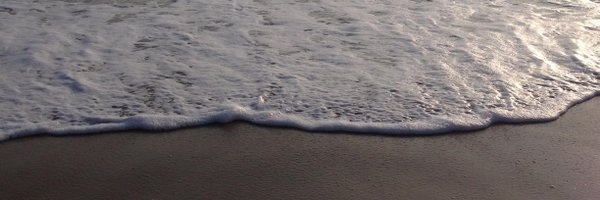 LizNeeley Profile Banner