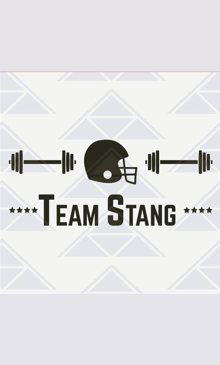 Stang_vidigal's profile banner image