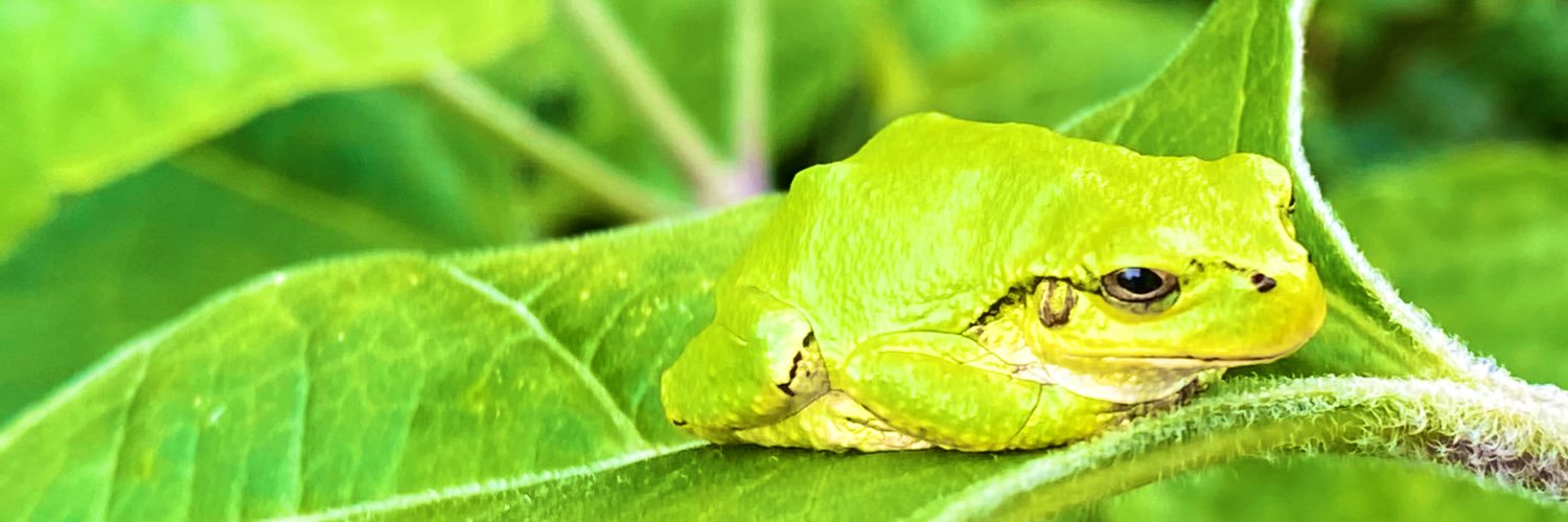 mameta_nk's profile banner image