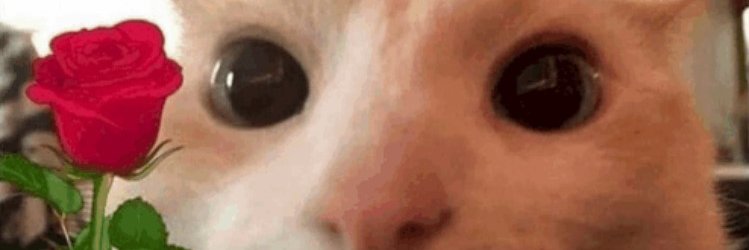 Milo ★ WORKING ON COMMS banner