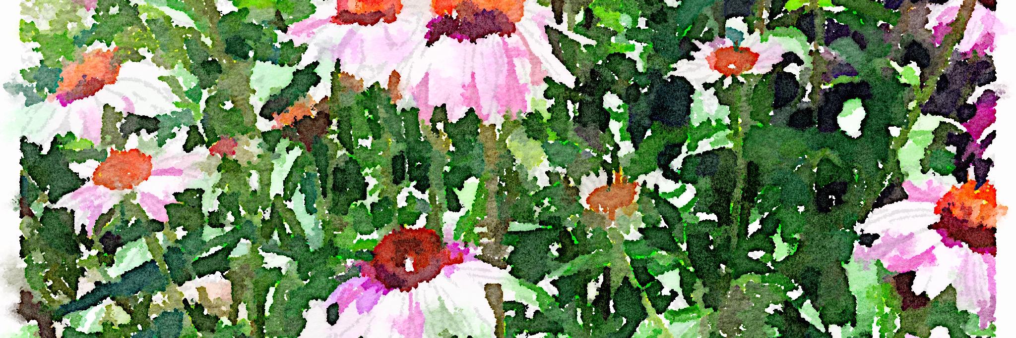 MichelleSmith99's profile banner image