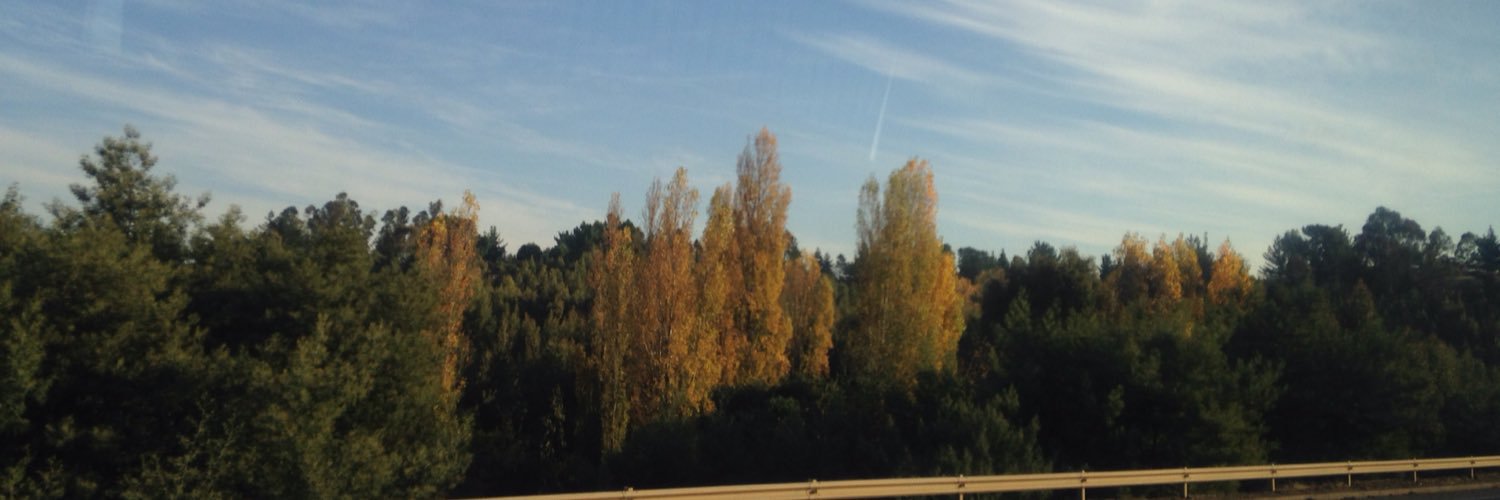 fespejoo's profile banner image