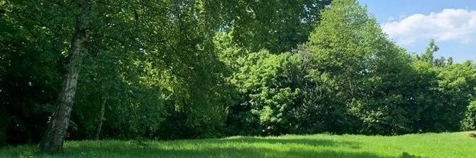 suesue_buger's profile banner image