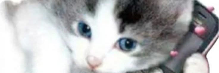 gabrieeent's profile banner image
