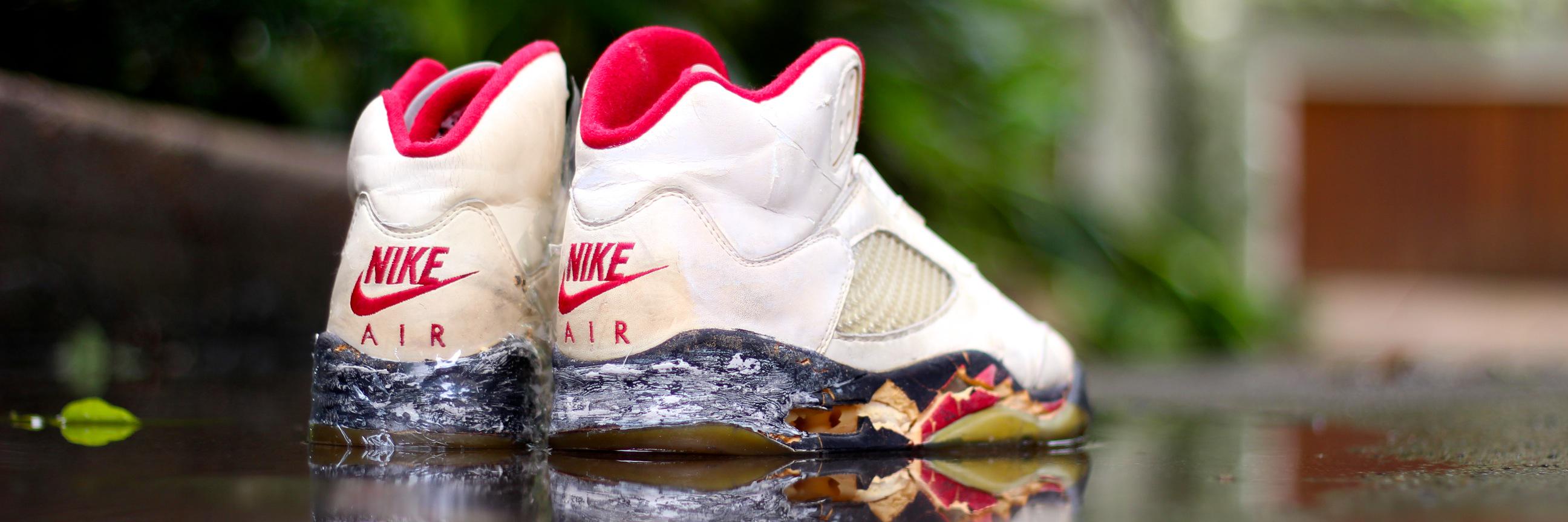 Jose Reminisce banner