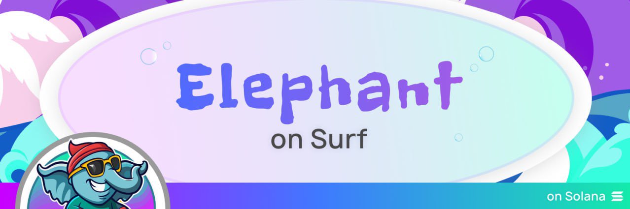Elephant on surf banner