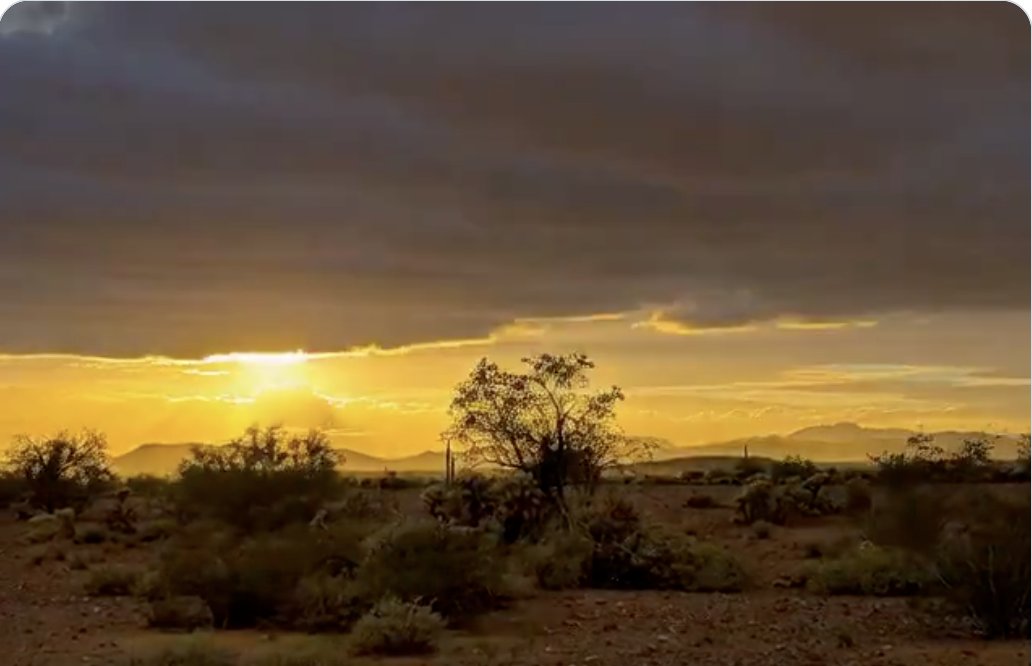 🇺🇸 PAZ Phillips banner