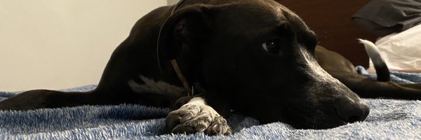 ktxby Profile Banner