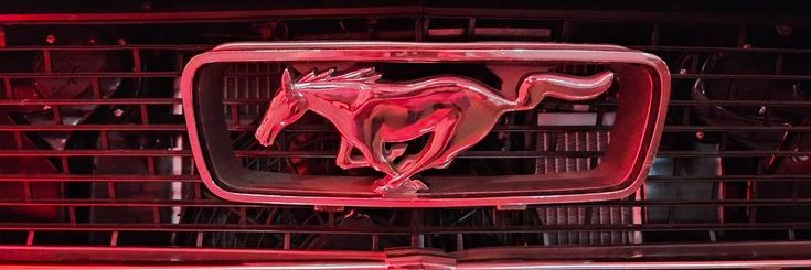 Capuz 🧙🏻‍♀️🐉 banner