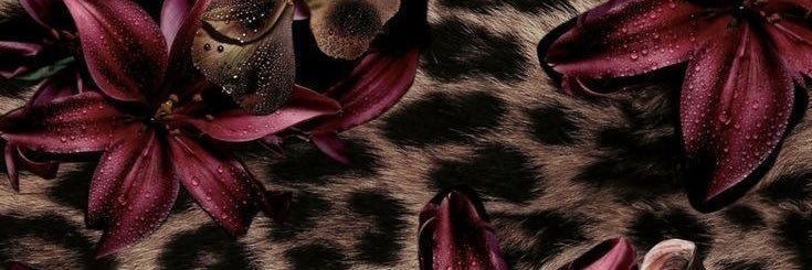 ii33i6's profile banner image
