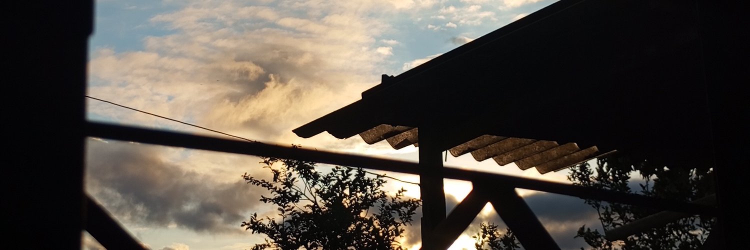 neyfudendomp's profile banner image
