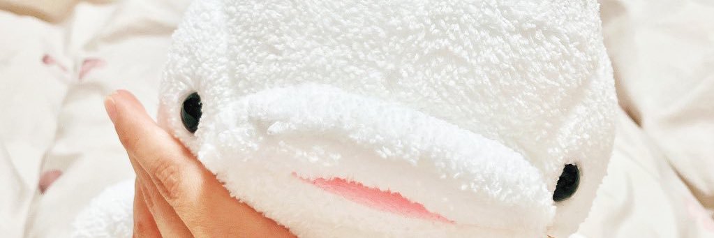beluga_250607's profile banner image