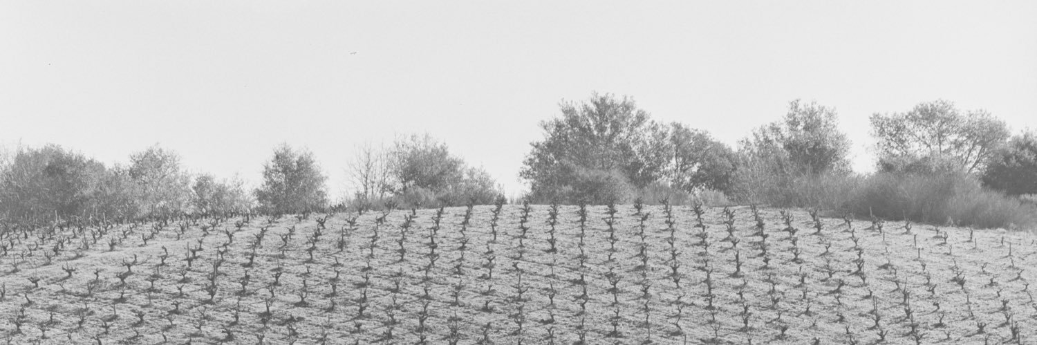 one minute yonder banner