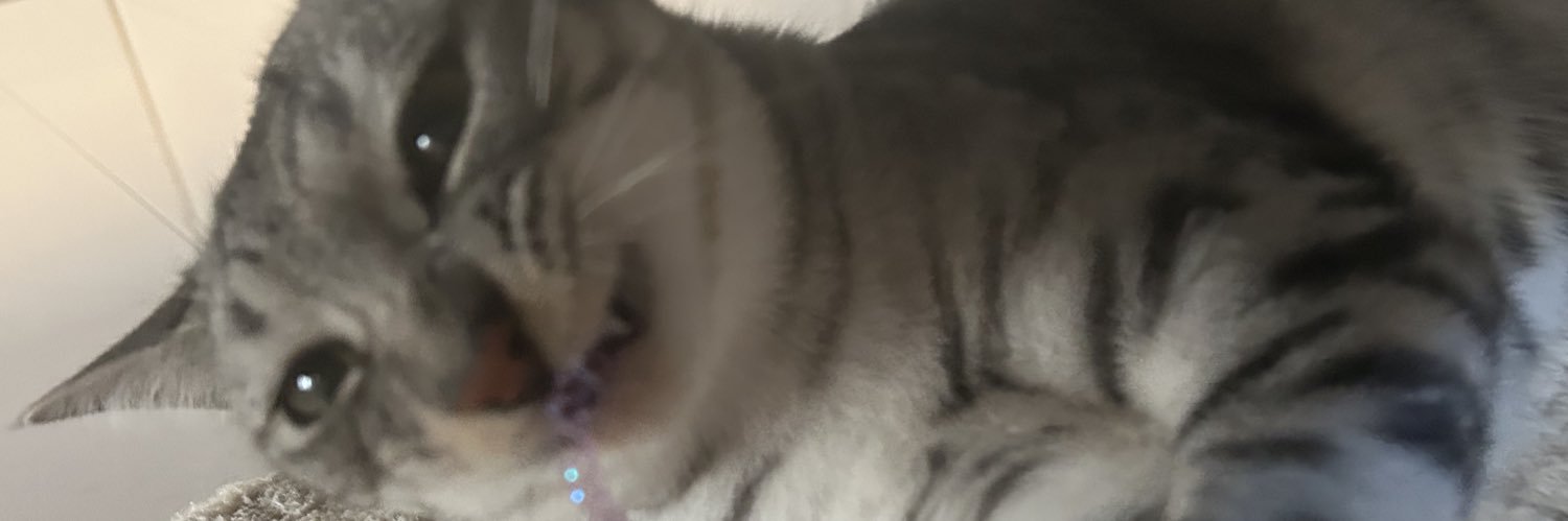 a3no_3's profile banner image