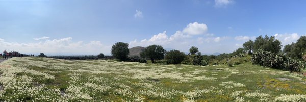 AnnRussoLCSW Profile Banner