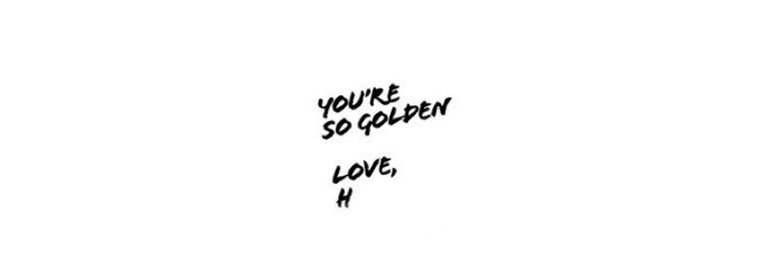 LAharrystan's profile banner image