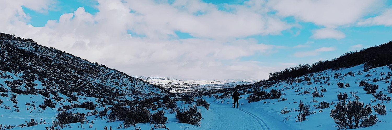 taylorcarter23's profile banner image