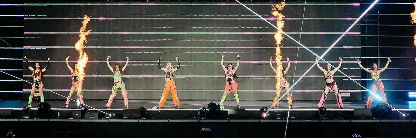 BINICHELLA 🌸🎡(🐺🐼🐱🐥🐰🐨🦊🐶) banner