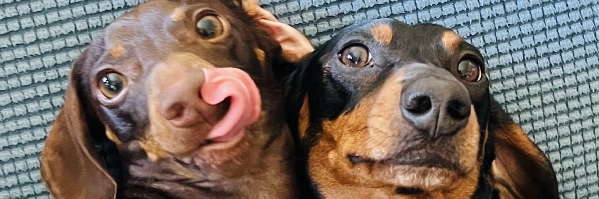 RushBaby2020's profile banner image