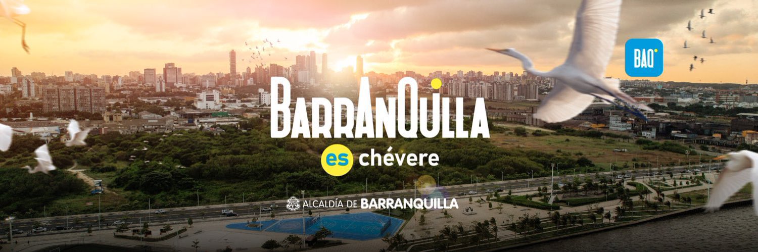 Stephanie Araujo banner