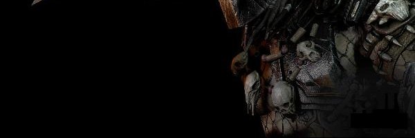 0x0981 banner