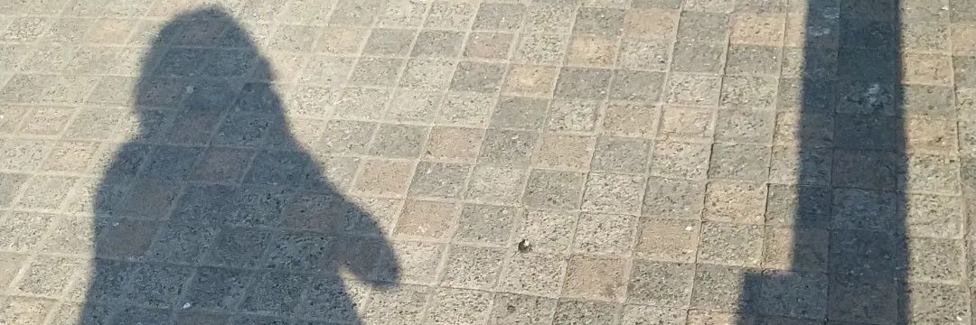 Maruca, la gata banner